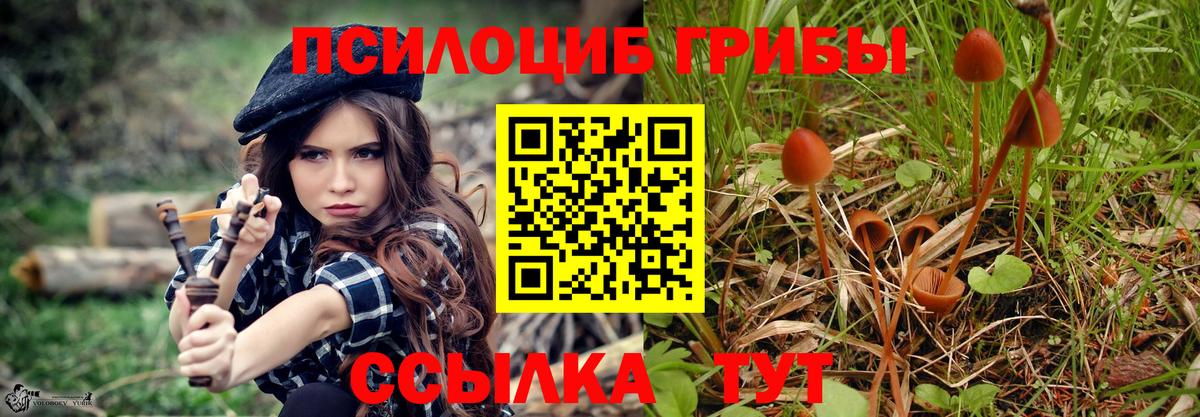 Галлюциногенные грибы Cubensis  Вход с VPN  Люберцы 